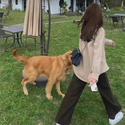 迷失第三季
